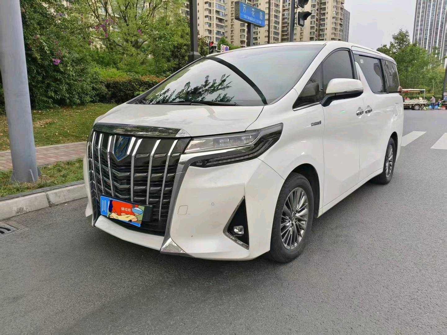  丰田埃尔法豪华车 2021款