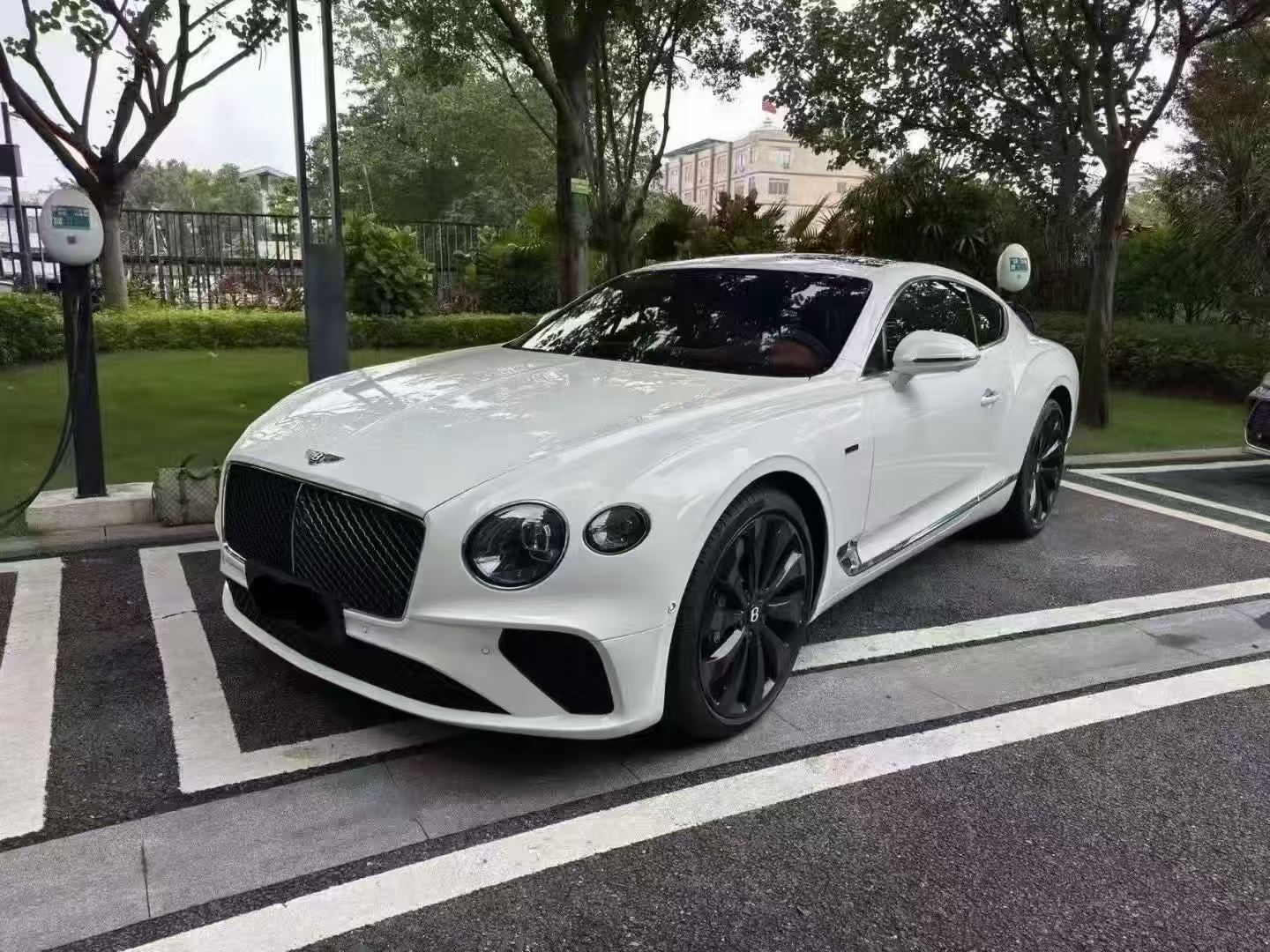 宾利欧陆GT白色2025年03月