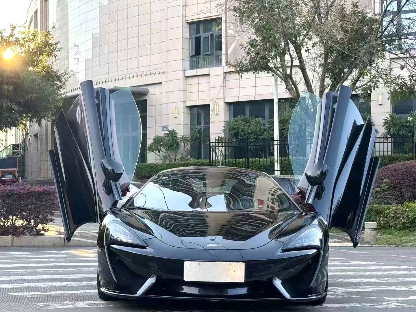 迈凯伦 2015款 570S 3.8T Coupe