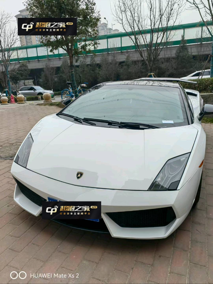 兰博基尼Gallardo白色2013年08月