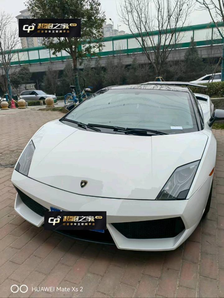 兰博基尼Gallardo白色2013年08月