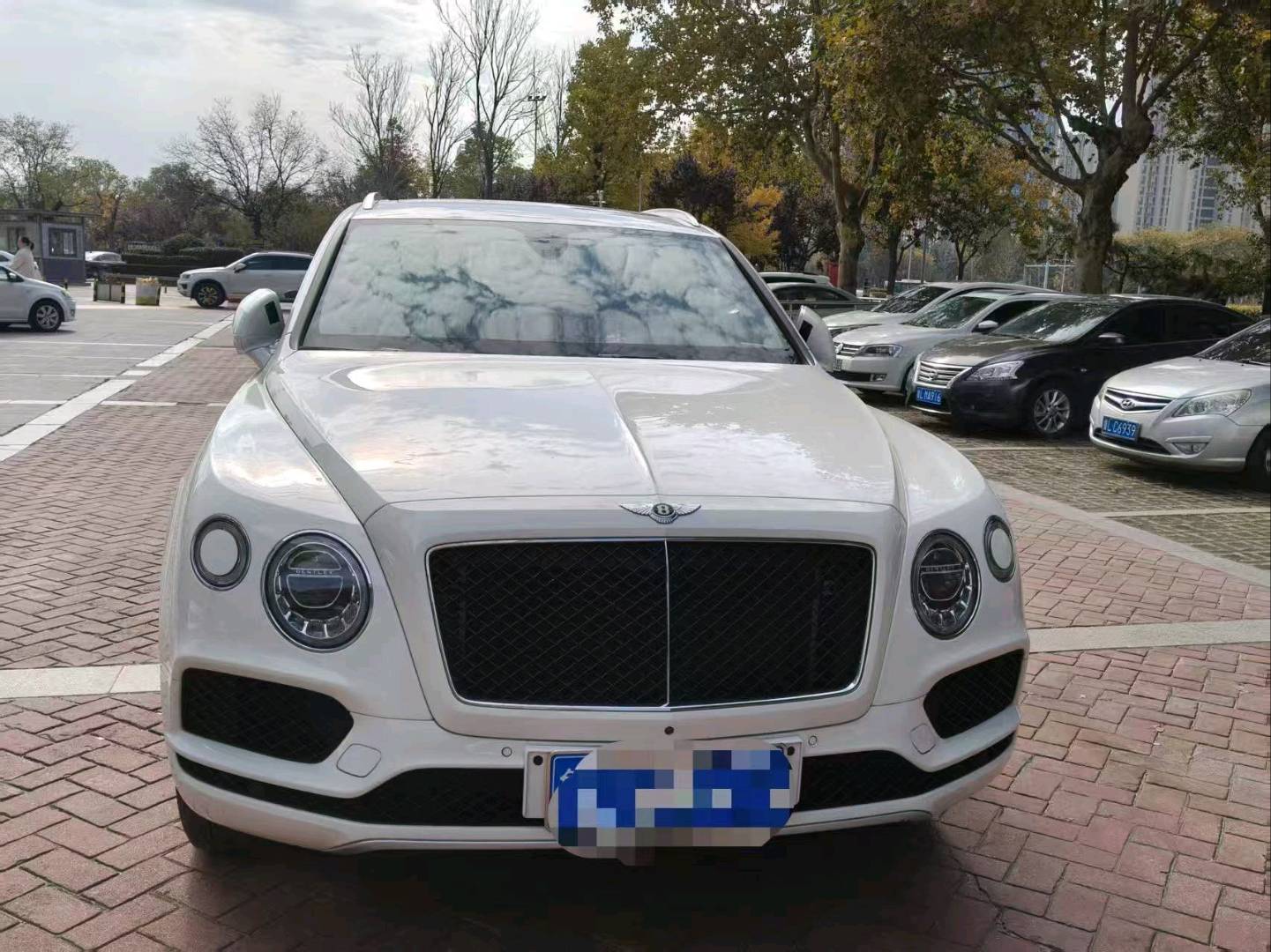 宾利添越 白色2020年07月