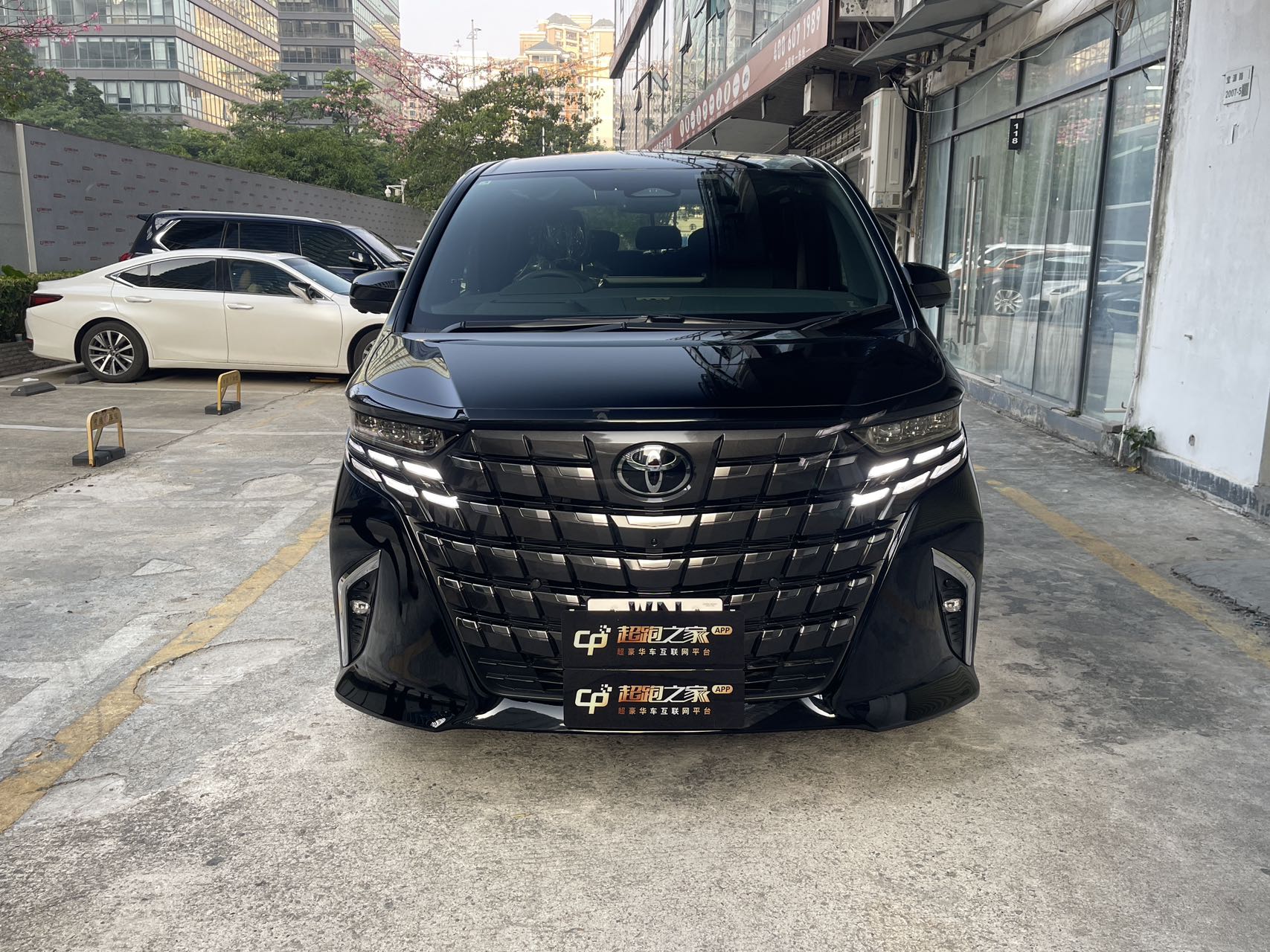 港牌埃尔法埃尔法黑色2025年11月