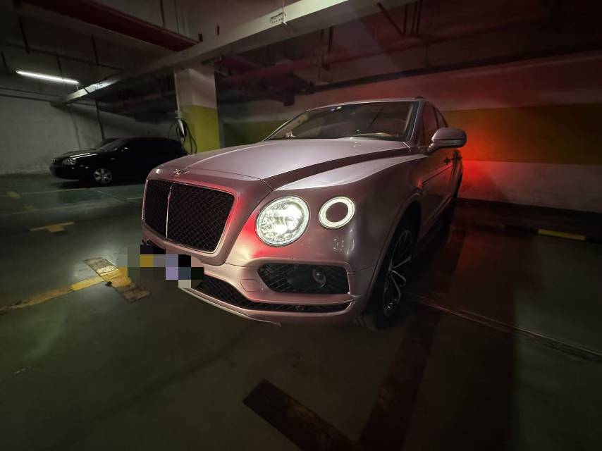 宾利添越 绿色2018年09月