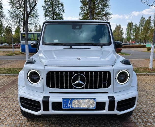 奔驰G级白色2019年04月