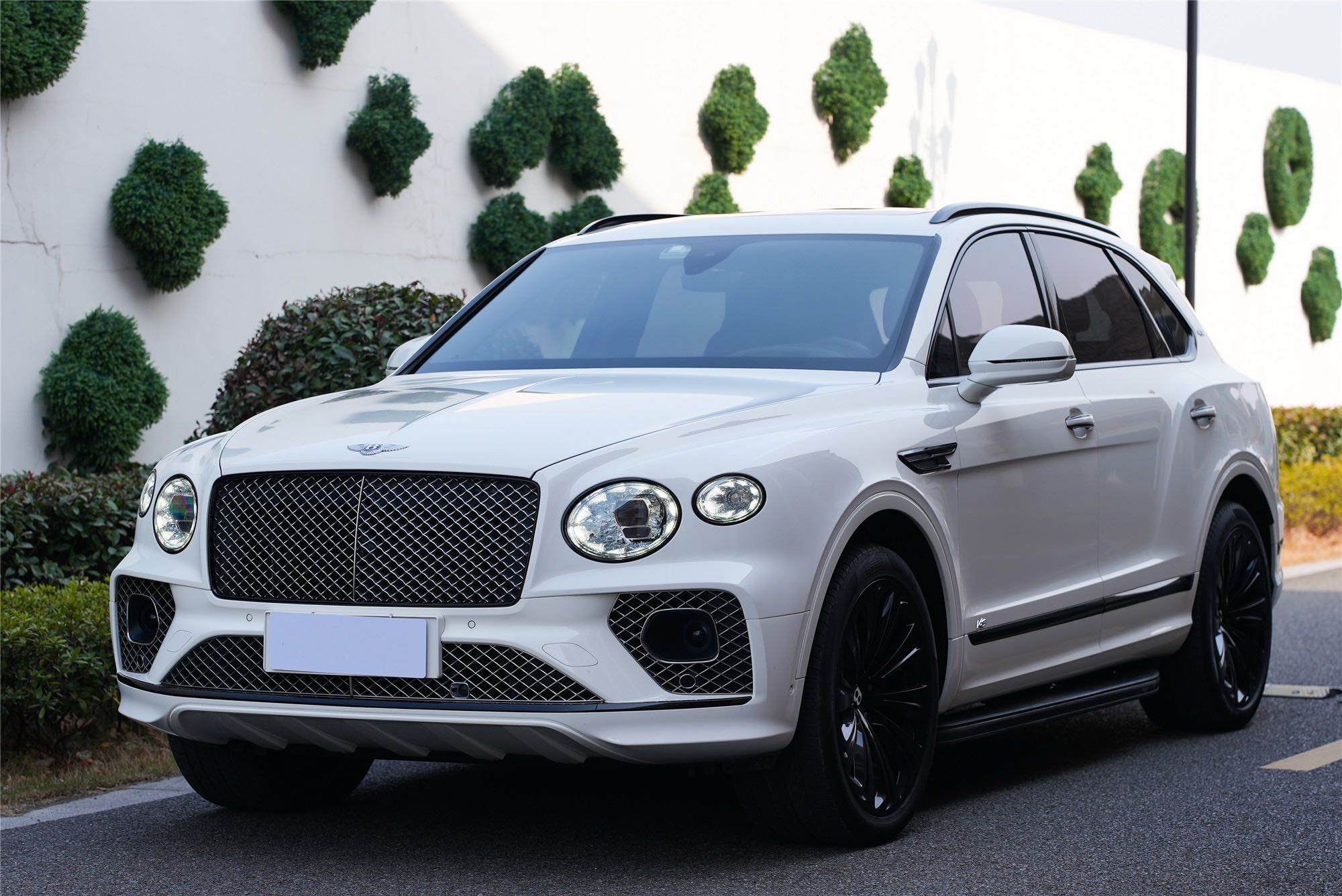 宾利添越 白色2020年10月