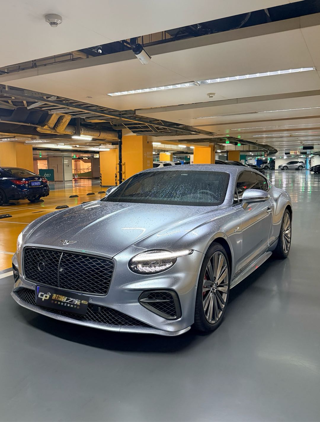 宾利欧陆GT白色2025年09月