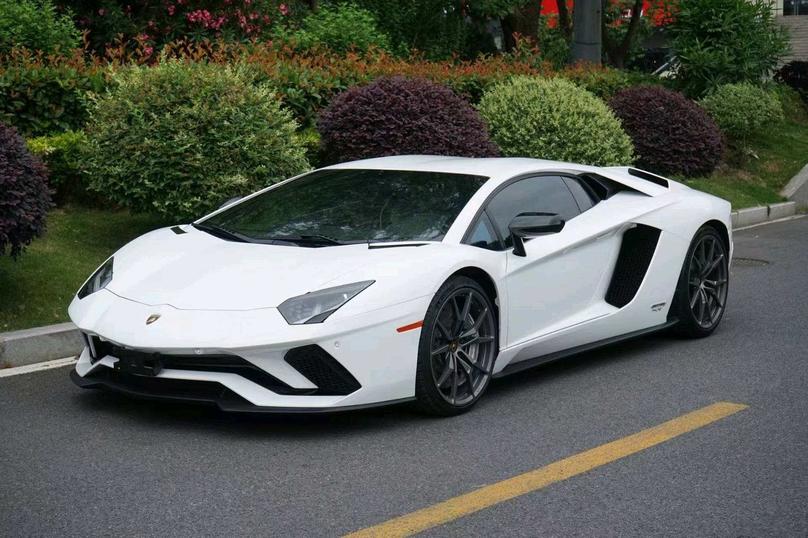 兰博基尼Aventador白色2019年04月