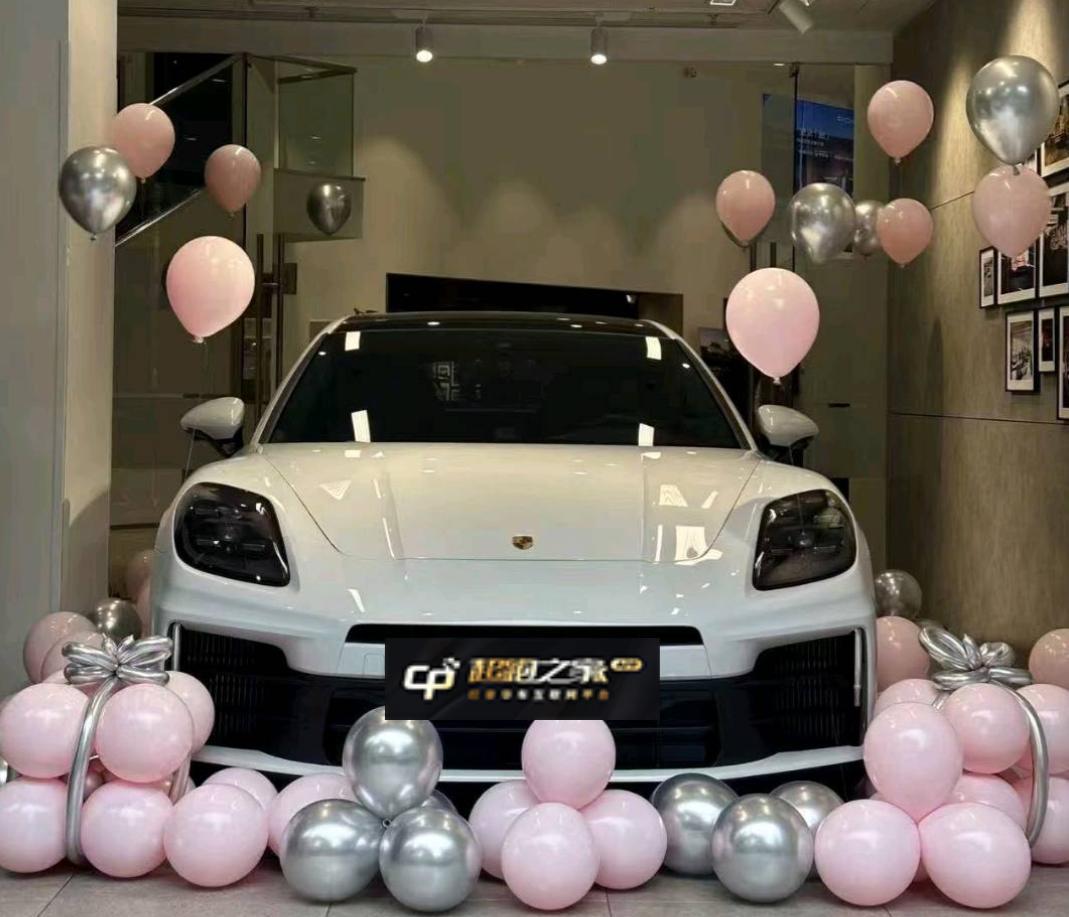 保时捷Panamera 白色2024年11月
