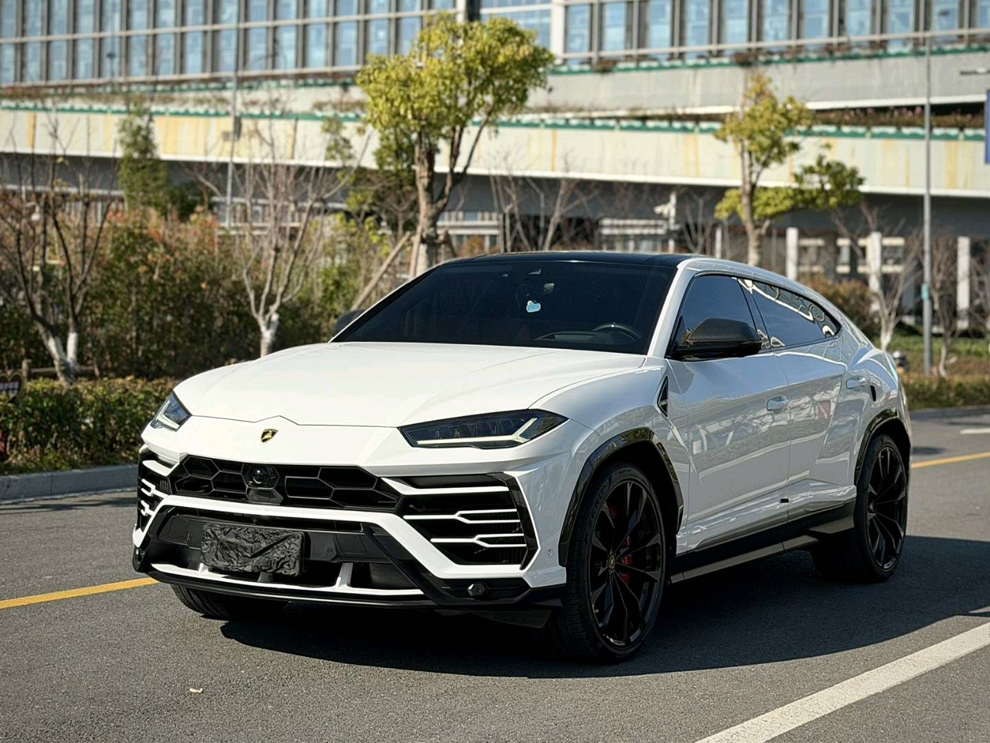 兰博基尼Urus白色2020年11月