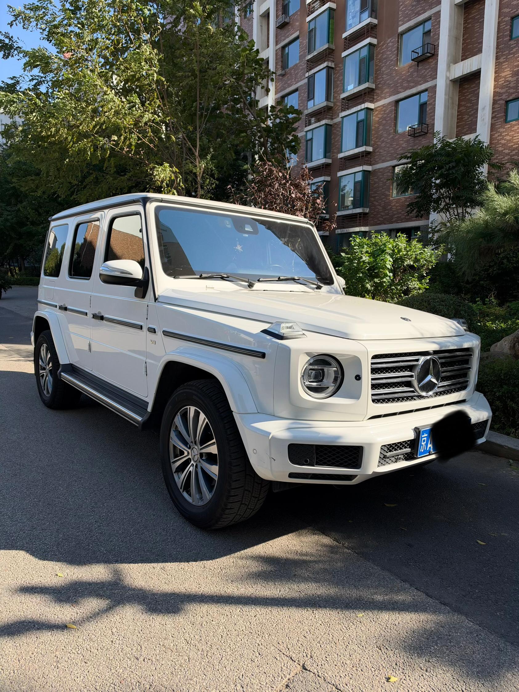 奔驰G级白色2019年01月